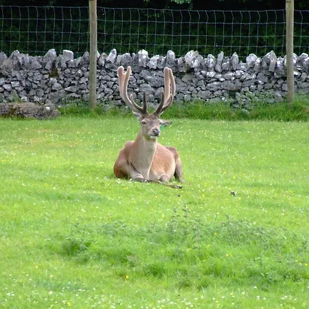 Bed and Breakfast Shepherds 3*