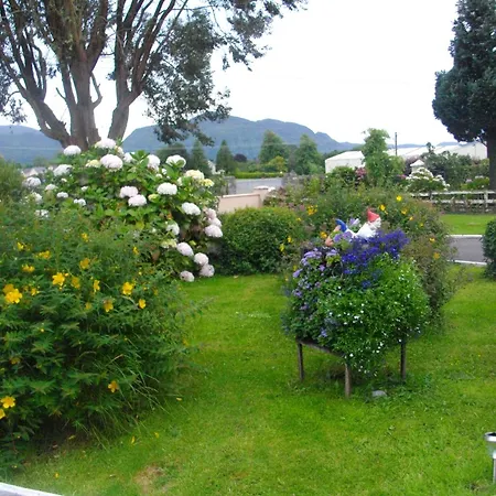 Bed & Breakfast Shepherds 3*