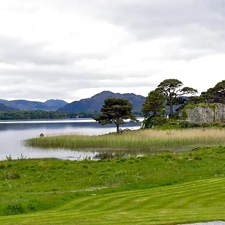 Shepherds Killarney