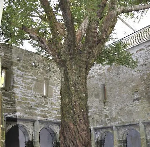 Bed & Breakfast Shepherds Killarney