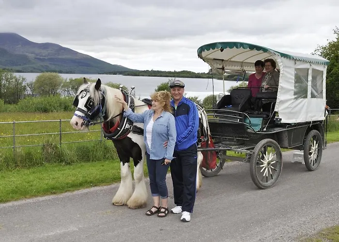 Shepherds 3* Killarney