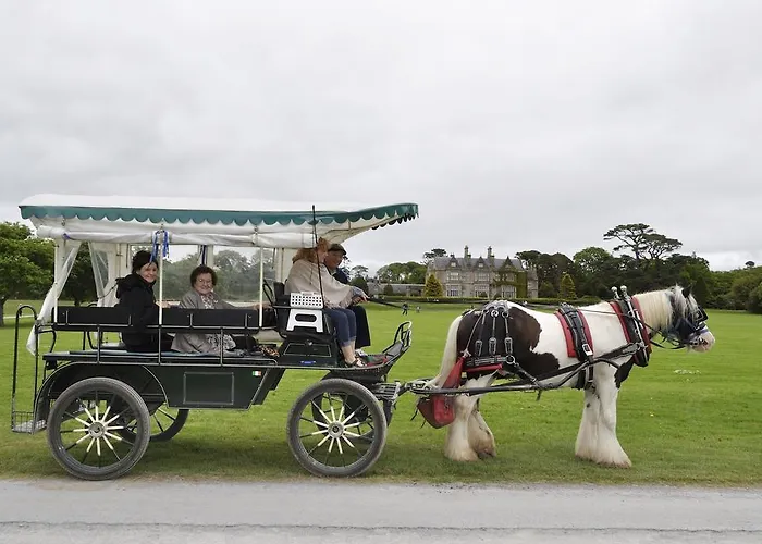 Shepherds Bed & Breakfast Cill Airne