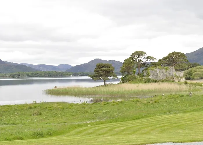 Shepherds Cill Airne