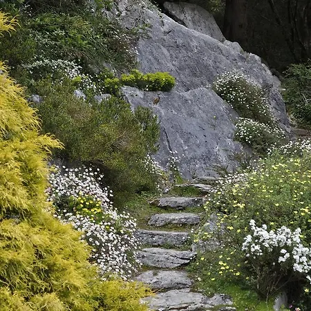 Shepherds Отель типа 