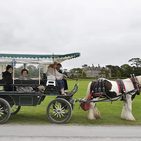 Shepherds Отель типа 