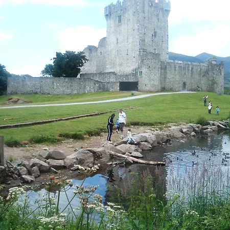 Bed & Breakfast Shepherds