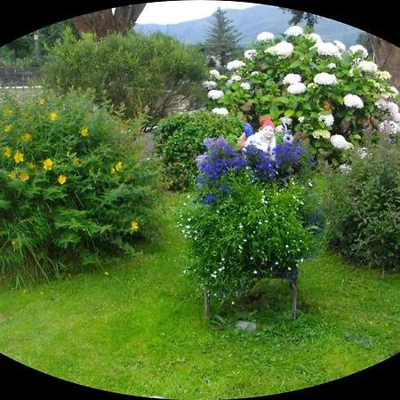 Bed & Breakfast Shepherds 3*