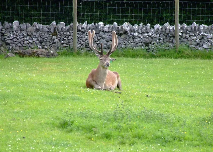 Bed & Breakfast Shepherds 3*